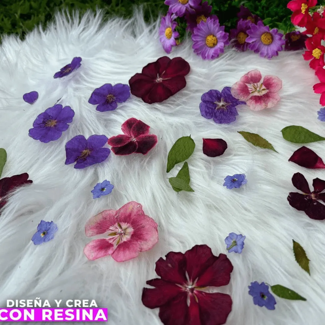 Técnicas para Secar Flores